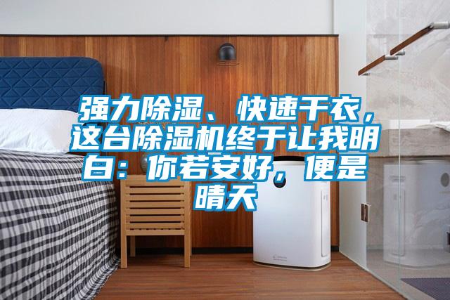 強(qiáng)力除濕、快速干衣，這臺(tái)除濕機(jī)終于讓我明白：你若安好，便是晴天
