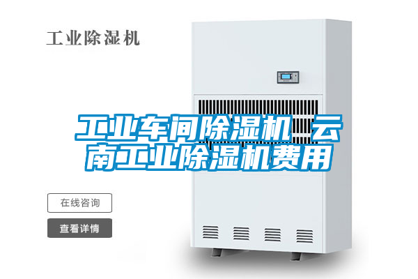 工業車間除濕機 云南工業除濕機費用