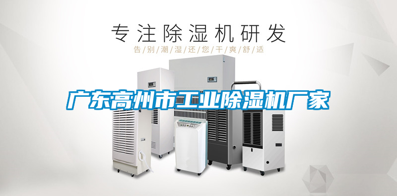 廣東高州市工業除濕機廠家