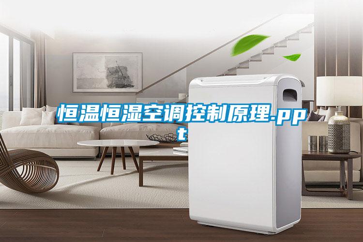 恒溫恒濕空調(diào)控制原理.ppt