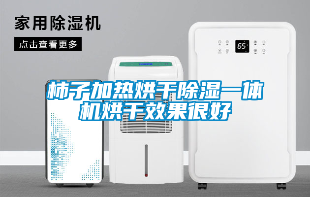 柿子加熱烘干除濕一體機烘干效果很好