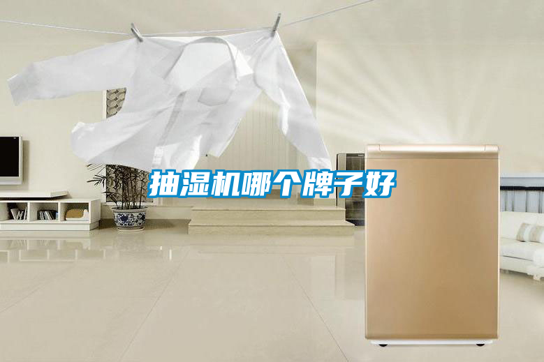 抽濕機(jī)哪個(gè)牌子好