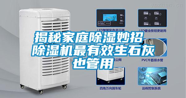 揭秘家庭除濕妙招 除濕機最有效生石灰也管用