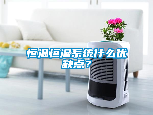 恒溫恒濕系統什么優缺點？