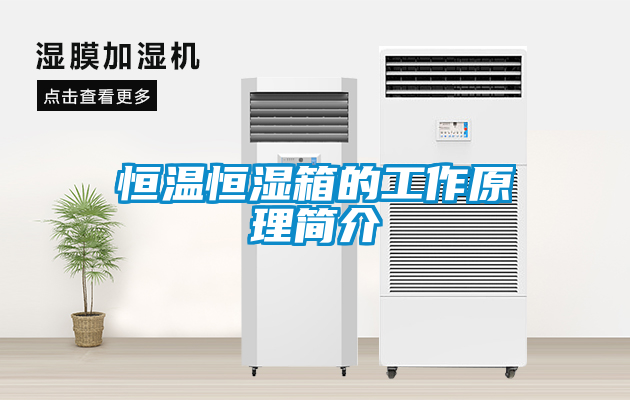 恒溫恒濕箱的工作原理簡介