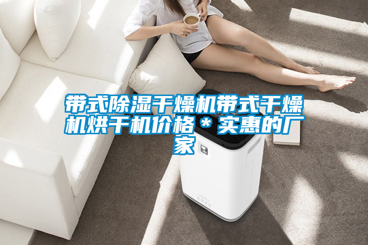 帶式除濕干燥機帶式干燥機烘干機價格＊實惠的廠家