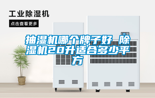 抽濕機哪個牌子好 除濕機20升適合多少平方