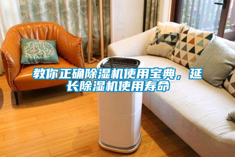 教你正確除濕機使用寶典，延長除濕機使用壽命