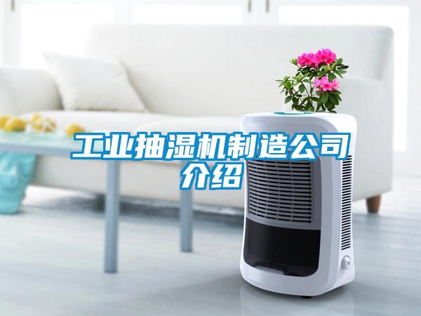 工業(yè)抽濕機(jī)制造公司介紹