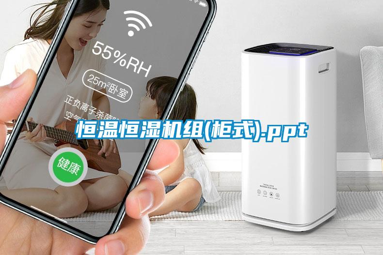 恒溫恒濕機(jī)組(柜式).ppt