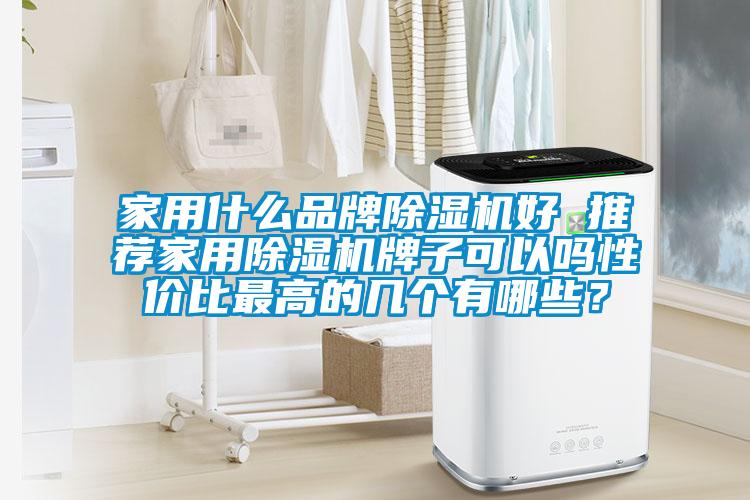 家用什么品牌除濕機好 推薦家用除濕機牌子可以嗎性價比最高的幾個有哪些？