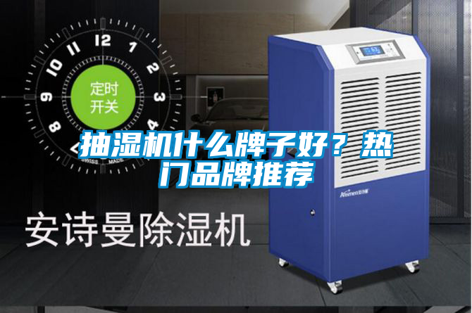 抽濕機(jī)什么牌子好？熱門品牌推薦