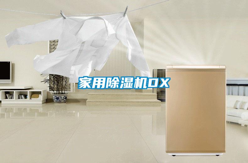 家用除濕機DX
