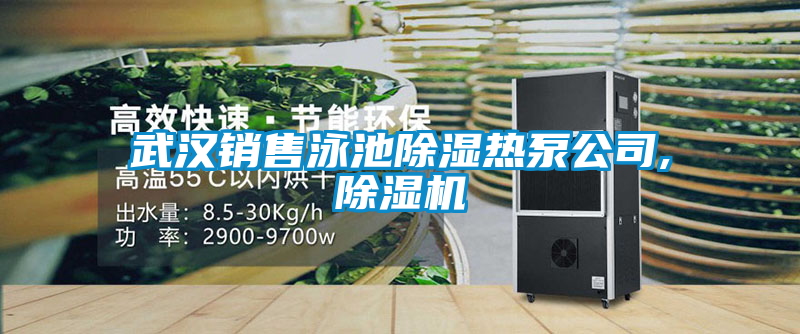 武漢銷售泳池除濕熱泵公司,除濕機