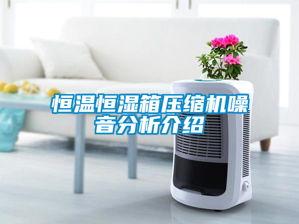 恒溫恒濕箱壓縮機(jī)噪音分析介紹