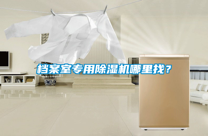 檔案室專用除濕機(jī)哪里找？