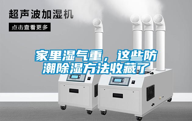 家里濕氣重，這些防潮除濕方法收藏了