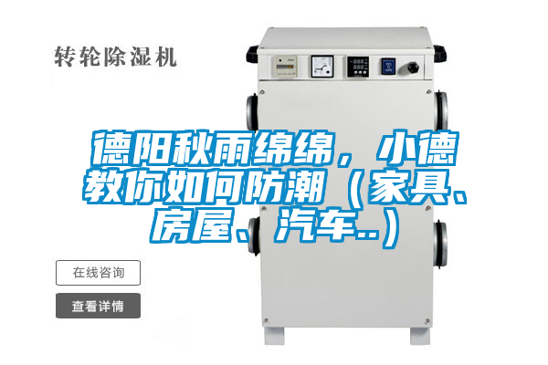 德陽(yáng)秋雨綿綿，小德教你如何防潮（家具、房屋、汽車(chē)..）