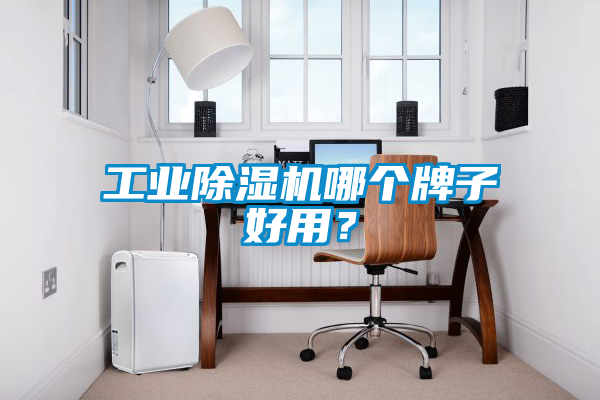 工業除濕機哪個牌子好用？