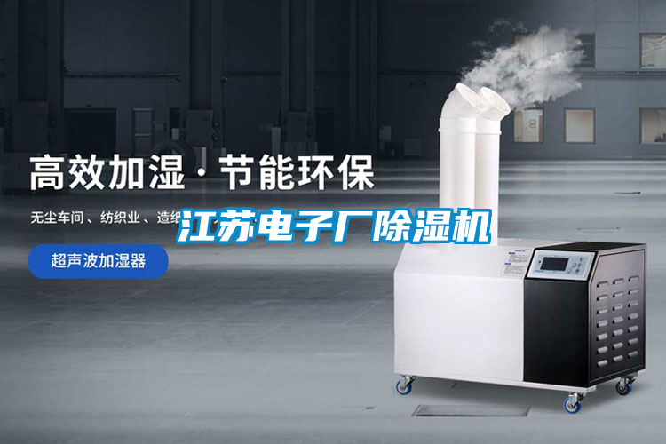 江蘇電子廠除濕機