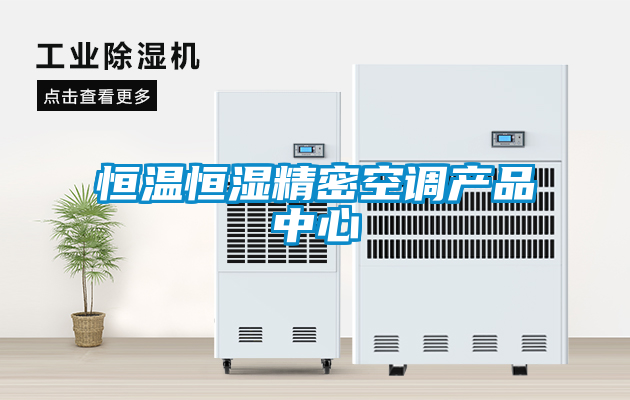 恒溫恒濕精密空調產品中心