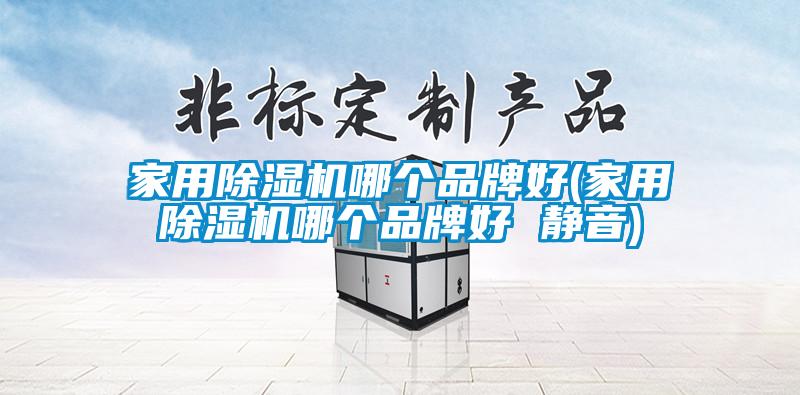 家用除濕機哪個品牌好(家用除濕機哪個品牌好 靜音)
