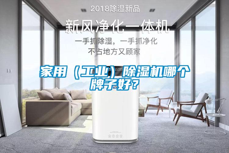 家用（工業(yè)）除濕機哪個牌子好？