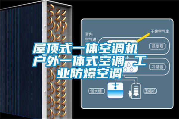 屋頂式一體空調機 戶外一體式空調 工業防爆空調