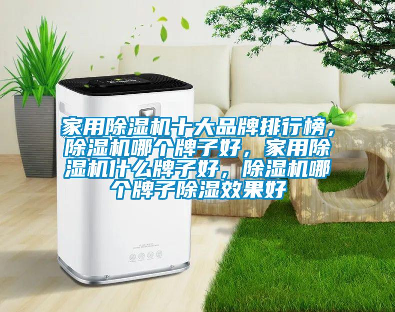 家用除濕機十大品牌排行榜，除濕機哪個牌子好，家用除濕機什么牌子好，除濕機哪個牌子除濕效果好