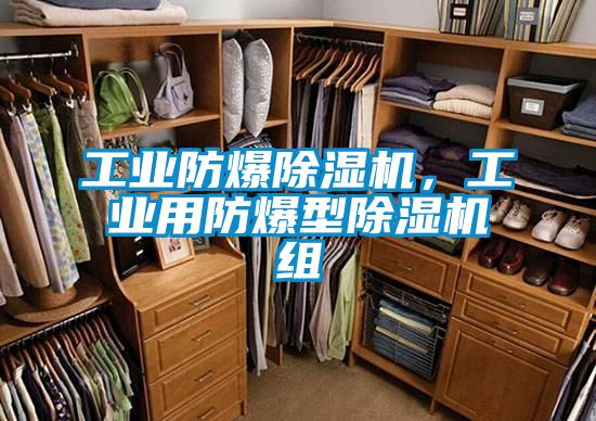 工業防爆除濕機，工業用防爆型除濕機組
