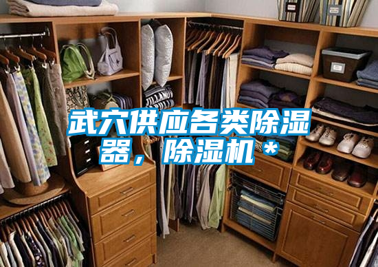 武穴供應(yīng)各類除濕器，除濕機(jī)＊