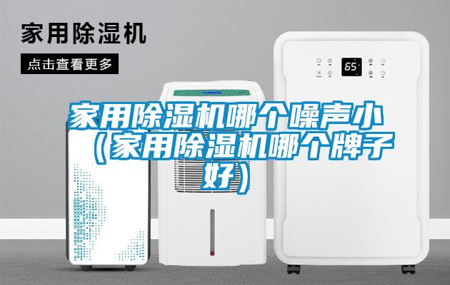 家用除濕機哪個噪聲小（家用除濕機哪個牌子好）