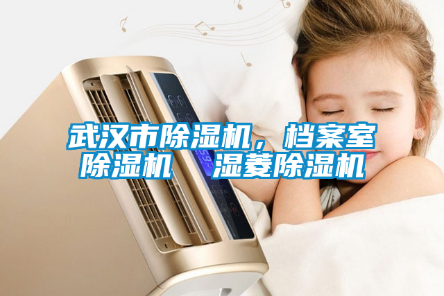 武漢市除濕機，檔案室除濕機  濕菱除濕機