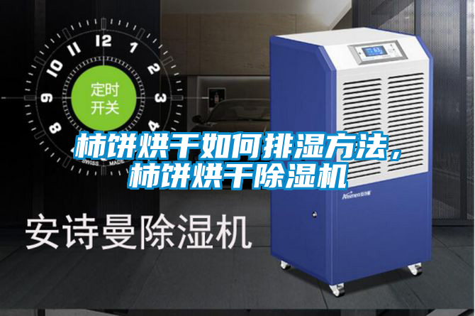 柿餅烘干如何排濕方法，柿餅烘干除濕機