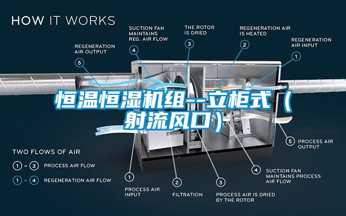 恒溫恒濕機組--立柜式（射流風口）