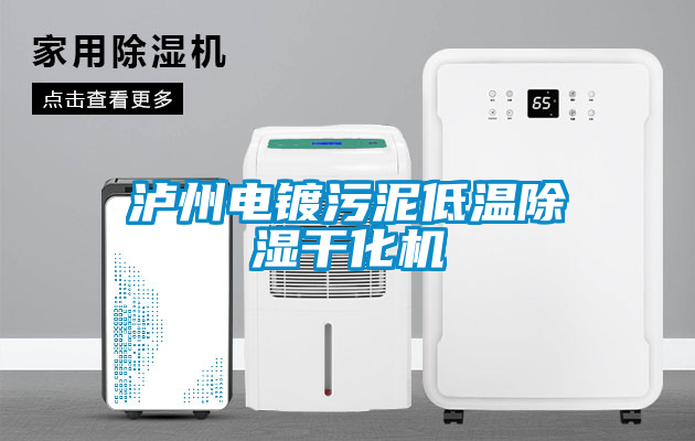 瀘州電鍍污泥低溫除濕干化機(jī)
