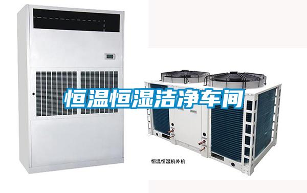 恒溫恒濕潔凈車間