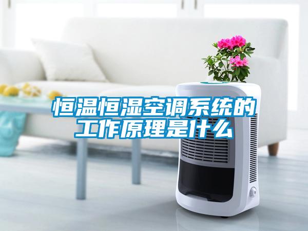 恒溫恒濕空調(diào)系統(tǒng)的工作原理是什么