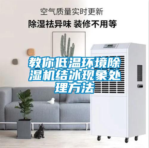 教你低溫環(huán)境除濕機結(jié)冰現(xiàn)象處理方法