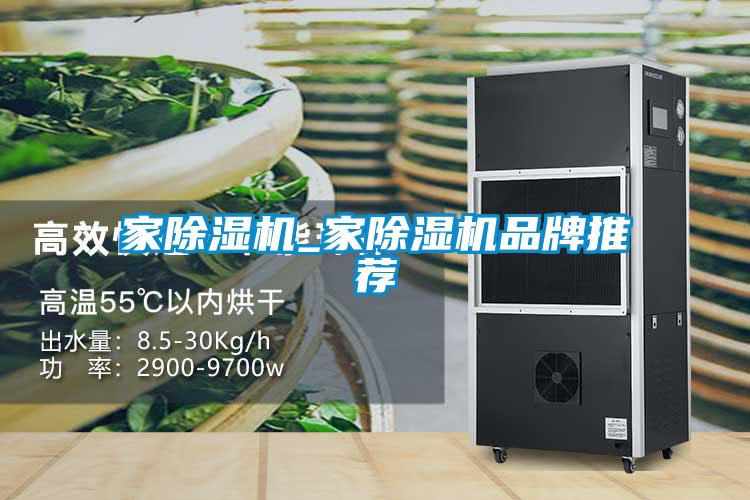 家除濕機(jī)_家除濕機(jī)品牌推薦