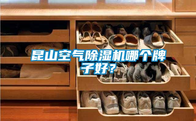 昆山空氣除濕機哪個牌子好？