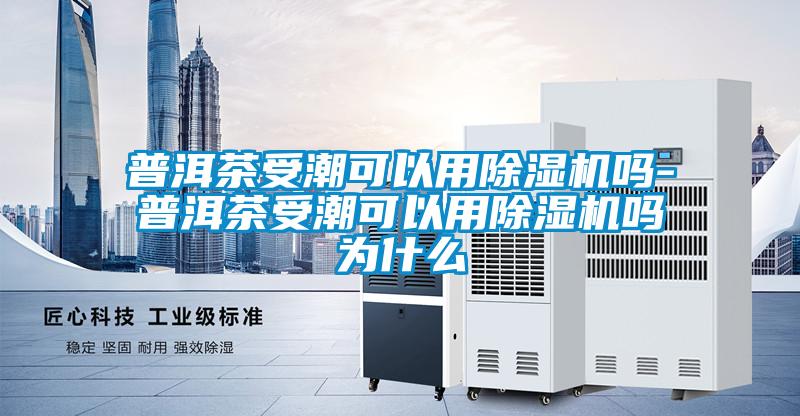 普洱茶受潮可以用除濕機嗎-普洱茶受潮可以用除濕機嗎為什么