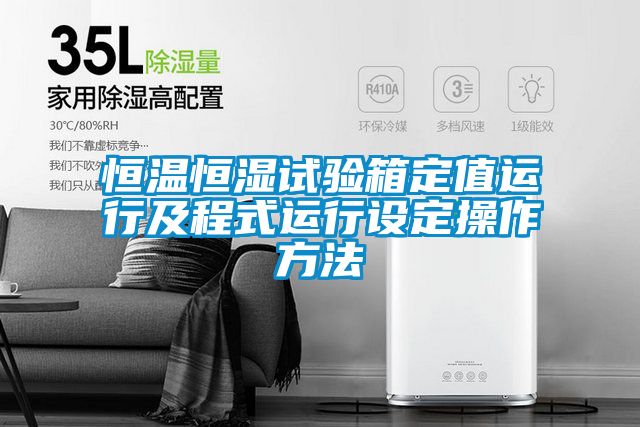 恒溫恒濕試驗箱定值運行及程式運行設(shè)定操作方法