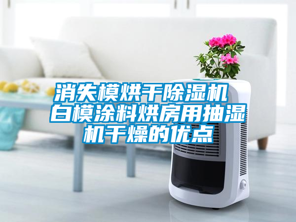 消失模烘干除濕機(jī) 白模涂料烘房用抽濕機(jī)干燥的優(yōu)點(diǎn)