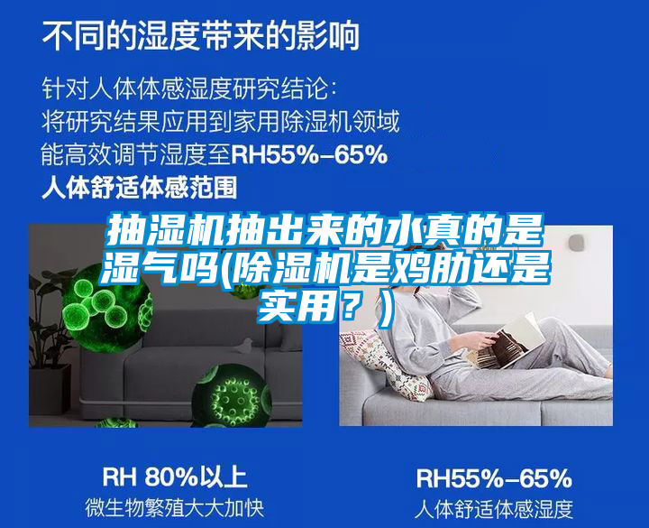 抽濕機抽出來的水真的是濕氣嗎(除濕機是雞肋還是實用？)