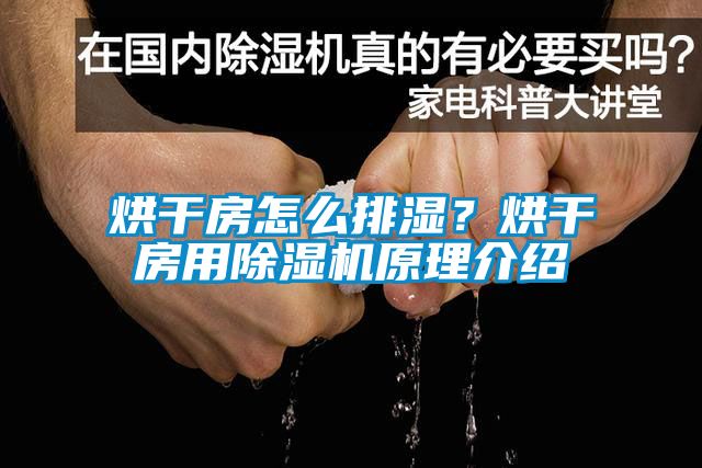 烘干房怎么排濕？烘干房用除濕機原理介紹