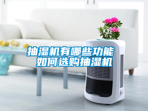 抽濕機有哪些功能 如何選購抽濕機