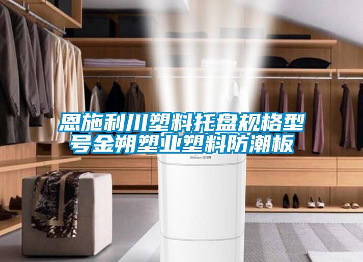 恩施利川塑料托盤規格型號金朔塑業塑料防潮板