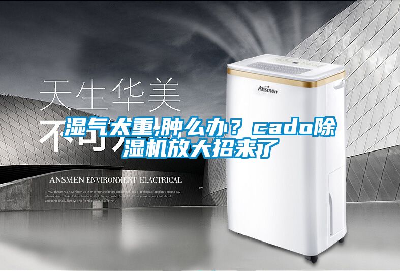 濕氣太重,腫么辦？cado除濕機放大招來了