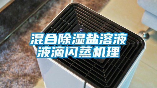 混合除濕鹽溶液液滴閃蒸機理